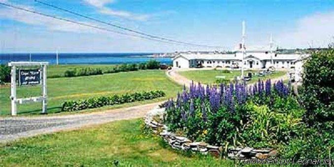 Cape View Motel & Cottages Mavilette Dış mekan fotoğraf